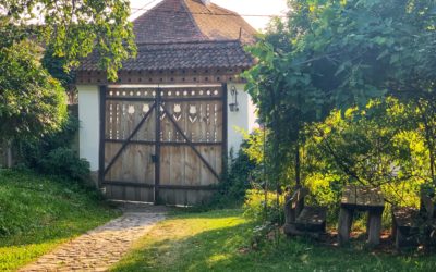 A Summer Month in Transylvania